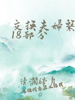 交换夫妇系列第18部分
