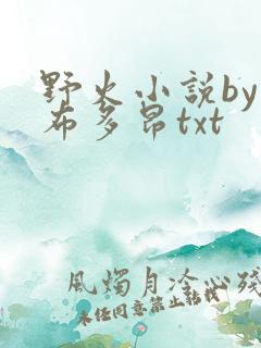 野火小说by夏布多昂txt