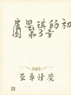 房思琪的初恋乐园 第3章