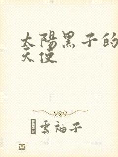 太阳黑子的折翼天使