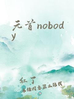 元首nobody