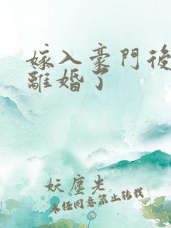 嫁入豪门后我又离婚了