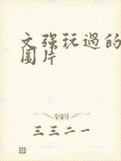 文强玩过的女人图片