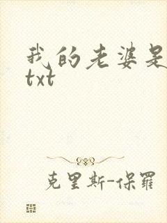 我的老婆是上司txt