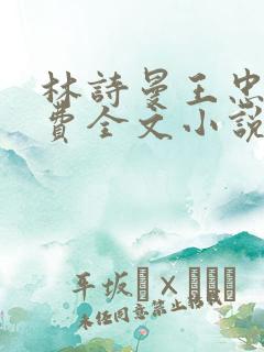 林诗曼王忠文免费全文小说的名称