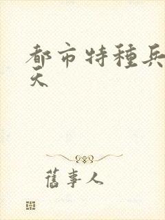 都市特种兵 任天