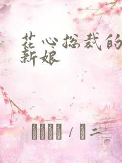 花心总裁的契约新娘