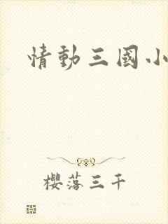 情动三国小说