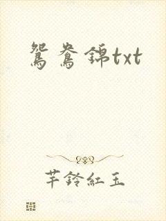 鸳鸯锦txt