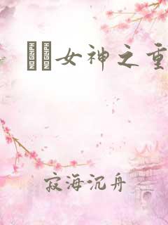 鹡鸰女神之重生