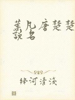 叶凡唐楚楚的小说名