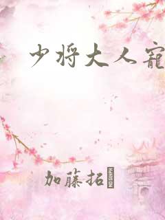 少将大人宠宠我