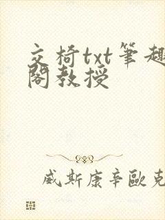 交椅txt笔趣阁教授