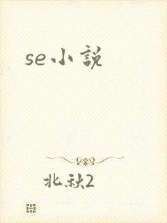 se小说