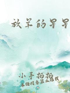 放羊的星星续集