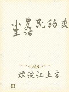 小农民的爽歪歪生活