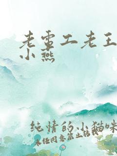 老电工老王和李小燕