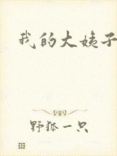 我的大姨子