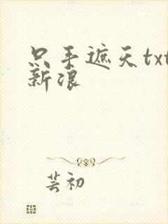 只手遮天txt新浪