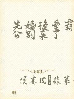 先婚后爱霸道老公别来了