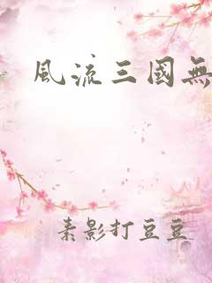 风流三国无弹窗
