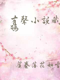 有声小说藏地密码