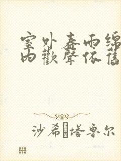 室外春雨绵绵室内欢声依旧