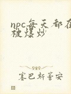 npc每天都在被爆炒