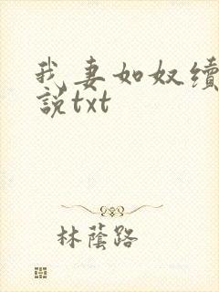 我妻如奴续写小说txt