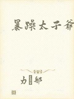 暴躁太子爷