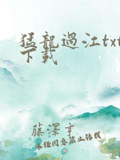 猛龙过江txt下载