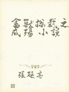 禽兽总裁之虐爱成殇 小说