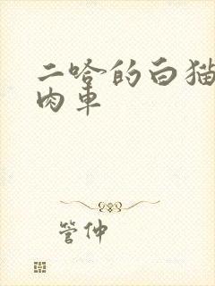二哈的白猫师尊肉车