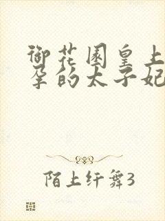 御花园皇上c有孕的太子妃