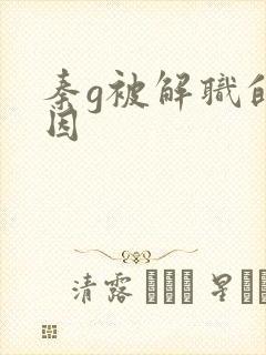 秦g被解职的原因