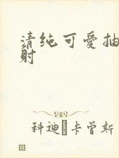 清纯可爱抽插内射