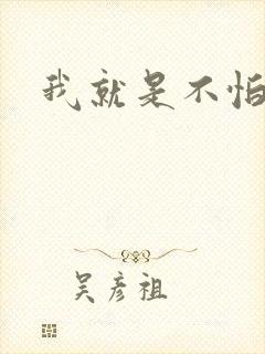 我就是不怕小说