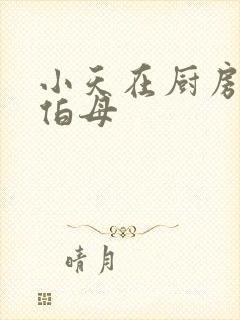 小天在厨房插杨伯母