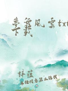 梦舞风云txt下载