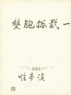 双胞总裁一个妻