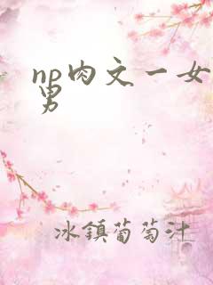 np肉文一女多男