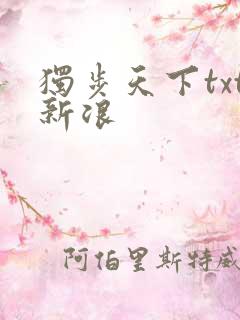 独步天下txt新浪