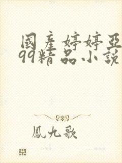 国产婷婷亚洲999精品小说