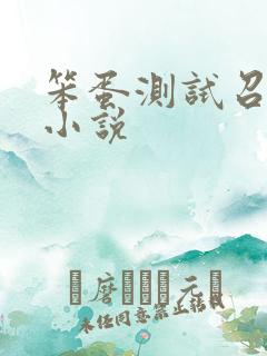 笨蛋测试召唤兽小说
