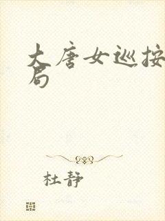 大唐女巡按大结局