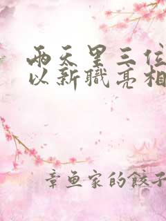 两天里三位将军以新职亮相