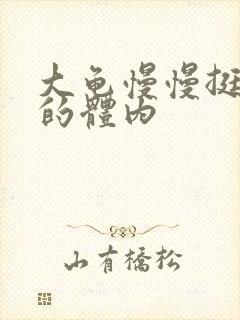 大龟慢慢挺进我的体内