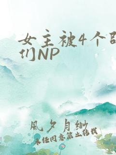 女主被4个师兄们NP