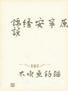 锦绣安宁原著小说