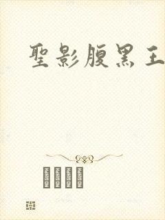 圣影腹黑王子帮